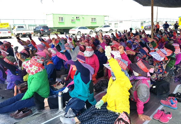 새만금지구 농생명용지 공사현장 사무소 앞에서 농성을 벌이고 있는 200여 계화주민들.