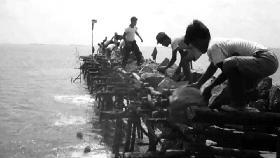 1963년도 계화1호 방조제 공사현장 모습. 사람들이 돌을 일일이 하나씩 바다에 던져 넣고 있다.