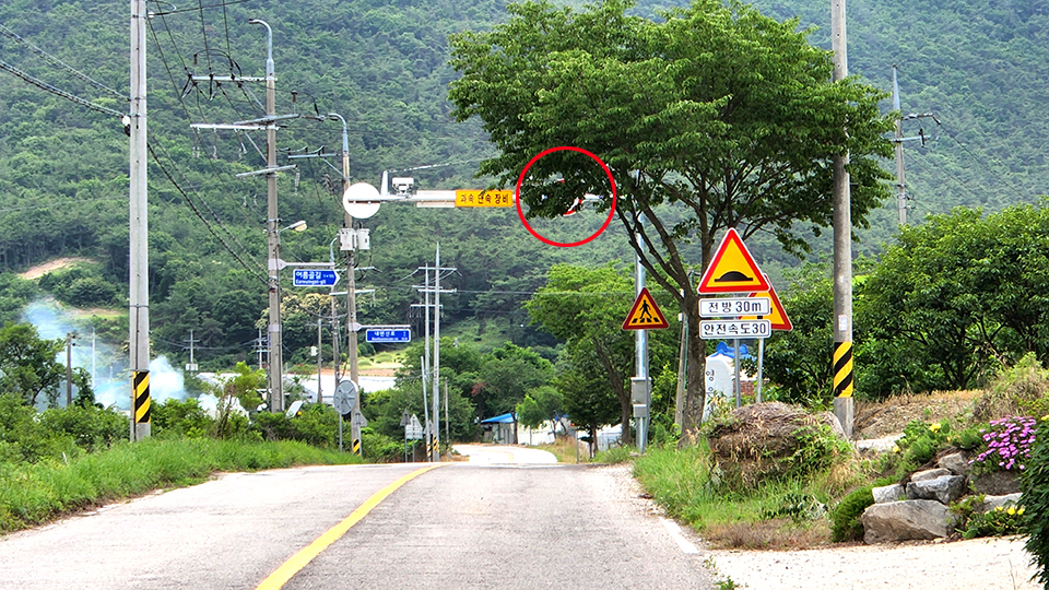 지난 22일 하서면 용와마을 앞 내변산로. 과속단속카메라 1대와 속도제한 표지판이 나뭇가지에 가려 보이지 않는다.